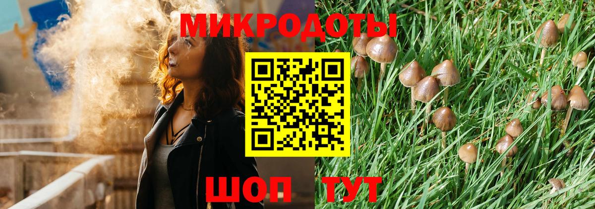 Псилоцибиновые грибы Magic Shrooms Дубна