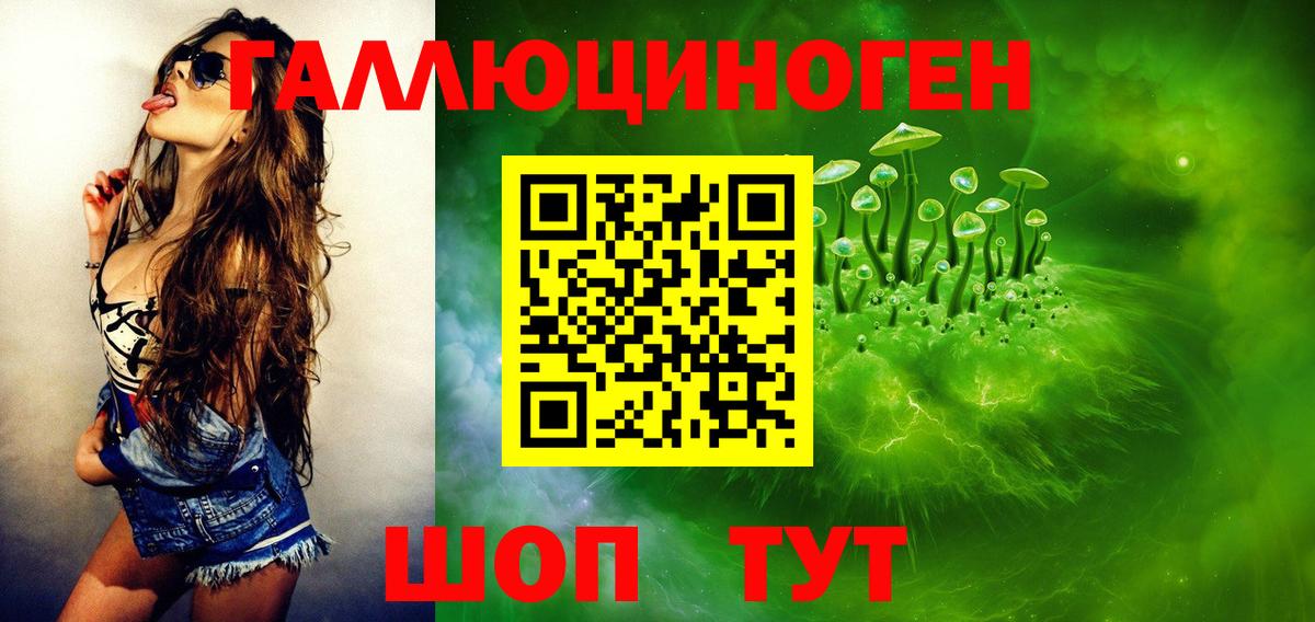 Дубна  Псилоцибиновые грибы GOLDEN TEACHER  Вход с VPN 